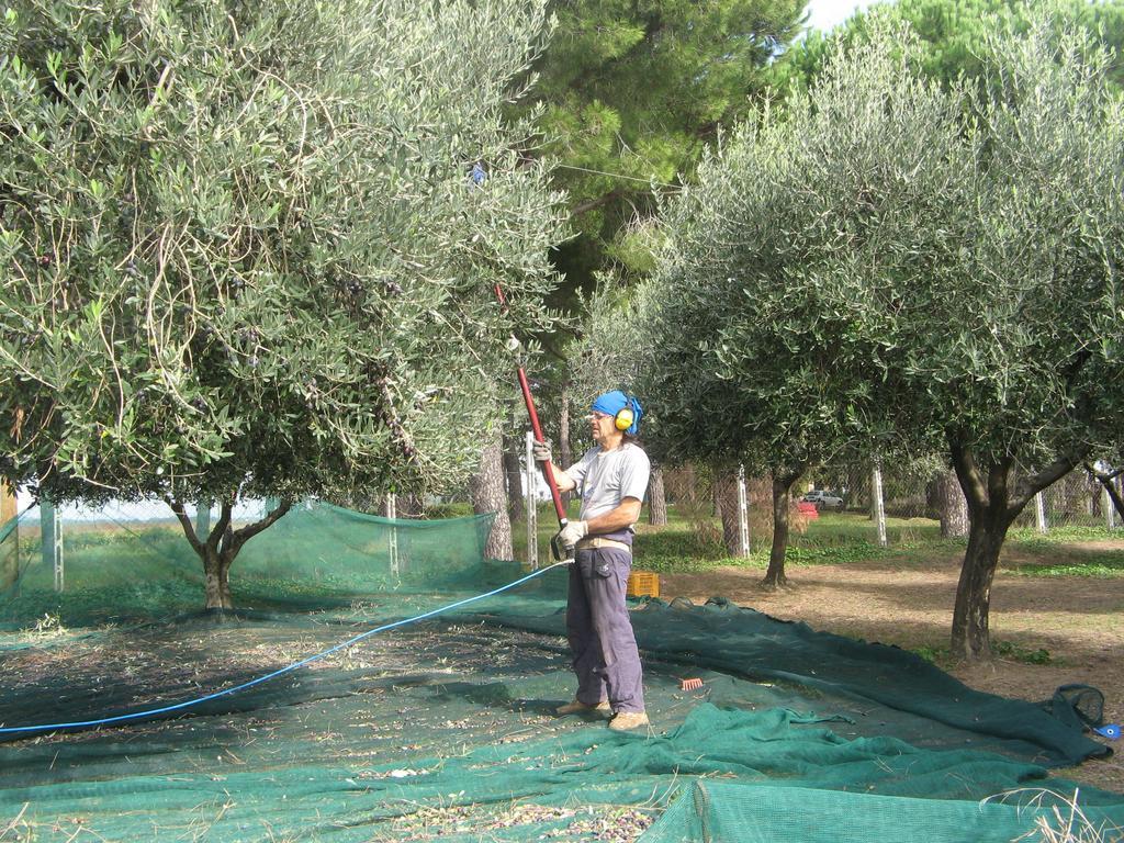 Bed and Breakfast Casale Del Tiglio Черветере Номер фото