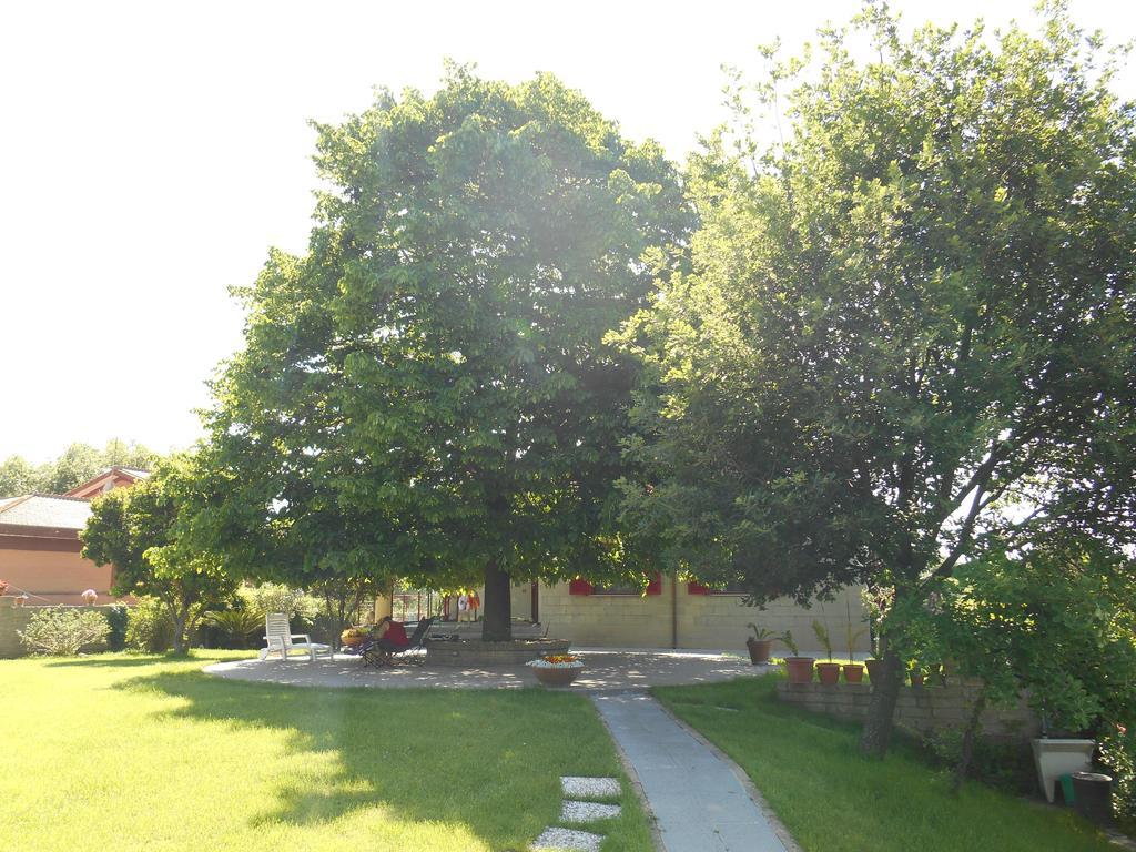 Bed and Breakfast Casale Del Tiglio Черветере Номер фото